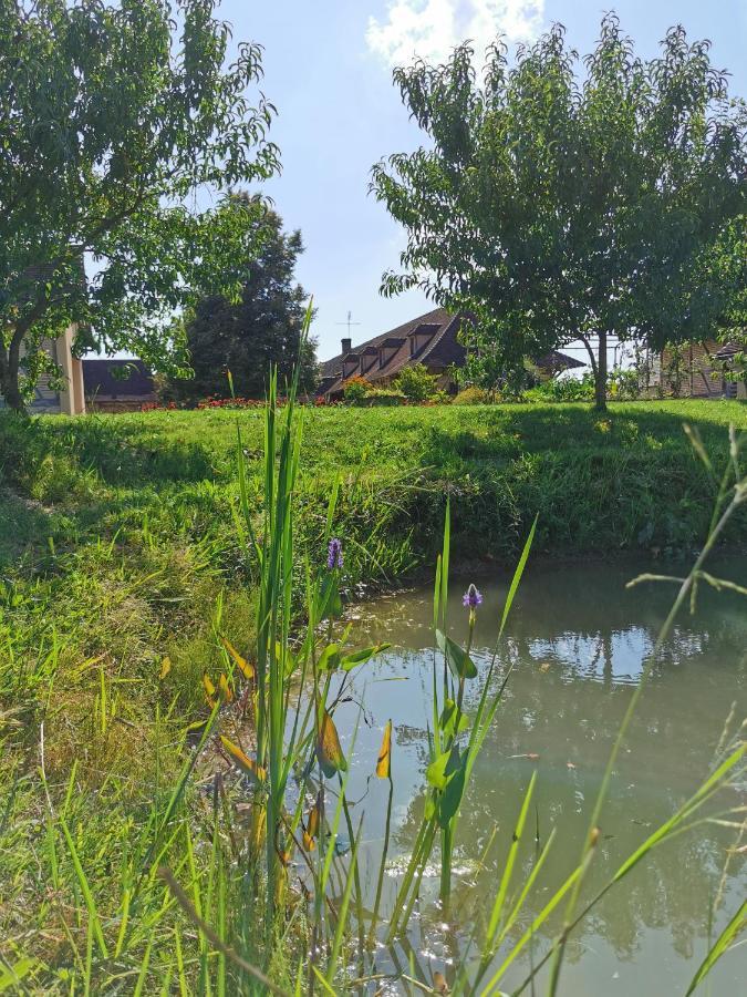 Gite De La Ferme De La Terve Bruailles Eksteriør billede